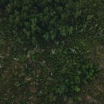 Qui pourra combler le vide laissé par Silicon Valley Bank dans le soutien aux fonds émergents?