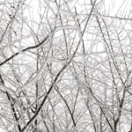 Une Avalanche de Possibilités: La Numérisation des Actifs à Grande Échelle