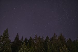 Les poissons-limaces : des créatures extraordinaires des profondeurs océaniques ?