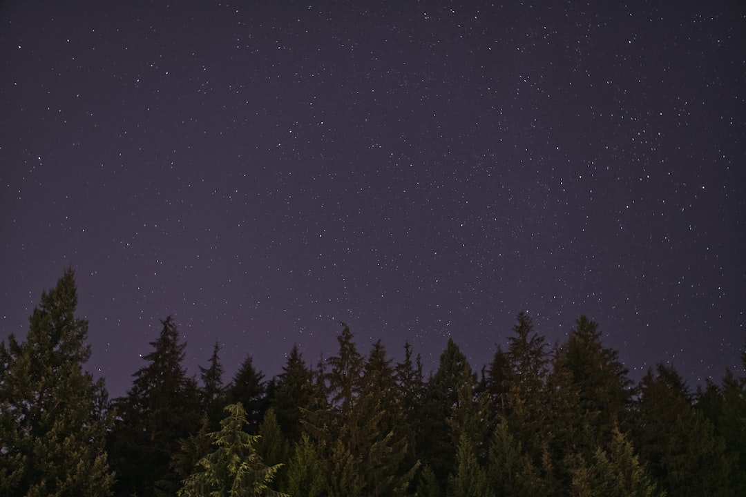Les poissons-limaces : des créatures extraordinaires des profondeurs océaniques ?
