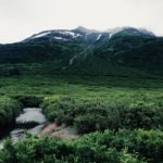 L’IA générative d’Ada révolutionnera-t-elle les services clients automatisés ?