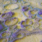 Les routeurs Cisco sont-ils une cible privilégiée des hackers russes ?