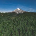 Founders Pledge : un modèle d’investissement révolutionnaire pour la technologie et la philanthropie ?