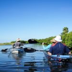 La vérification sur Twitter : enjeu ou mascarade ?