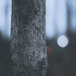 Constrafor : la solution au problème de financement dans la construction ?