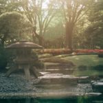 Tôt parti, mie électrise : Honda presse le pas de l’électrique