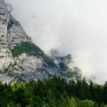 Meta-morphose transatlantique : un fil à la patte numérique ?