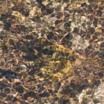 La MTA tourne-t-elle réellement le dos à Twitter ?