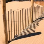 Twitter, la presse à l’article, ou la fin des gazouillis gratuits ?