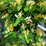 Électromobilité et législation : mission (pas si) lunaire