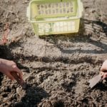 Google I/O 2023 : Quelles surprises nous réserve l’événement ?