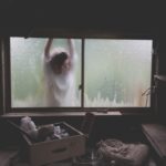 L’iPhone 15 Pro ne touche pas encore les boutons