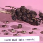 Le cash flow, une alternative au système de crédit traditionnel ?