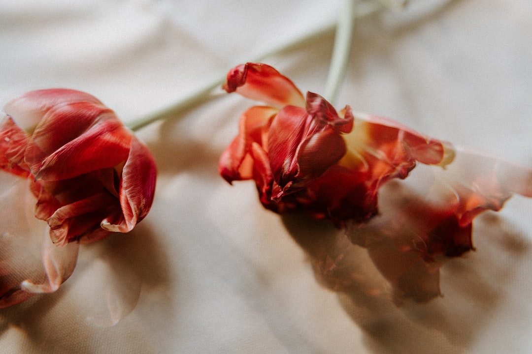 a couple of red flowers sitting on top of a bed