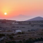 La technologie peut-elle révolutionner notre approche du birdwatching ?