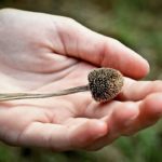 Cadill’acte : l’Escalade prend le courant