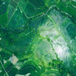 OpenFin : la startup qui met les voiles sur la finance et surfe sur l’information