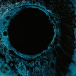 Worldcoin : l’œil du détenteur