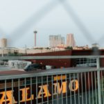 Twitter : « Cache-cache » avec la DSA ou « chat » échaudé ?