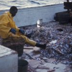 Carvana : un futur brillant ou une simple embellie ?