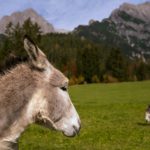 Le lac Cahuilla disparu a-t-il influencé les séismes sur la faille de San Andreas ?