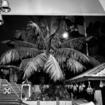 Pragmata, le jeu mystérieux de Capcom, saura-t-il répondre à toutes nos questions ?