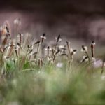 Le Nothing Phone 2, une révolution dans le paysage des smartphones ?