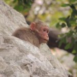 Des portes qui s’ouvrent en Chine