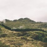 Google Pixel 8 Pro : le plat qui donne envie !