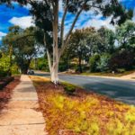 Prime Day 2023 : quelles belles affaires pour les amateurs de technologie ?