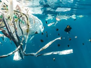 Les déchets plastiques, un problème insurmontable ou une opportunité de construire durablement ?