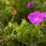 Doublage-ment vôtre, YouTube !