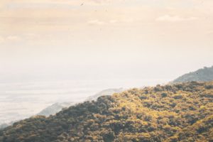 Threads de Meta, une véritable alternative à Twitter ?