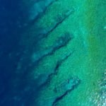 Coalition rachète-t-elle Jumbo pour renforcer sa cybersécurité?