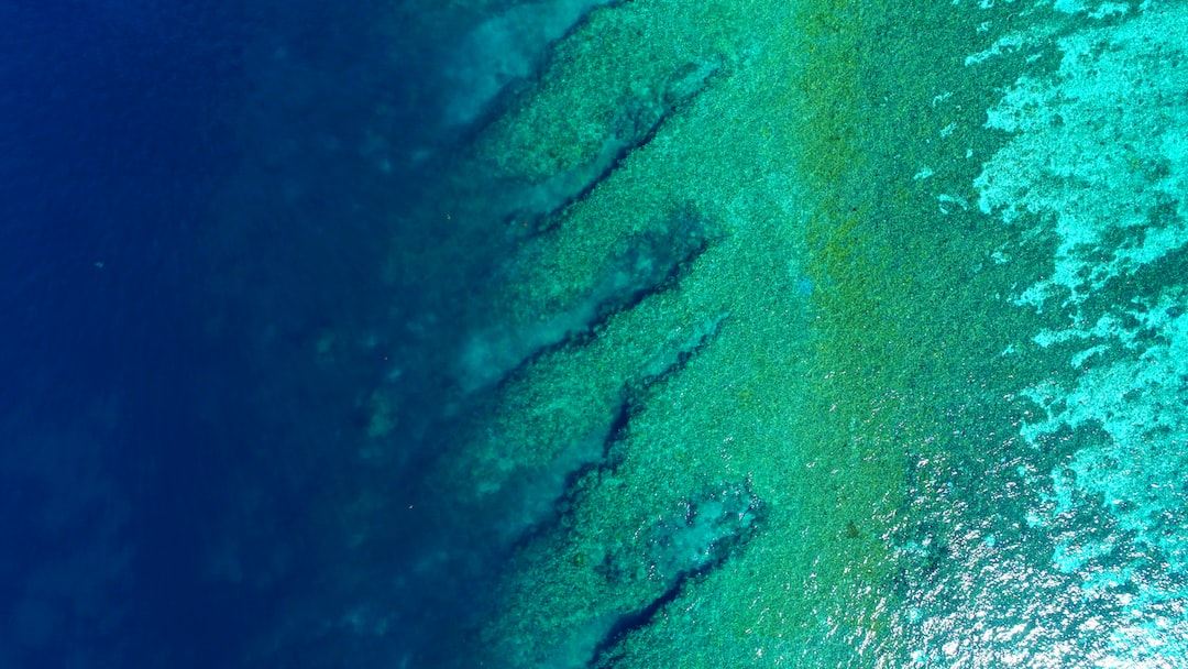 an aerial view of a body of water