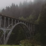 Pierre qui roule amasse la mousse… de mer!