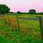 Le Cybertruck de Tesla : Le retard à grande vitesse