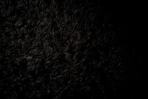 [Bulles de Rire : Telegram Met en Scène vos Histoires]