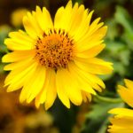 S’embarquer pour le succès: Le coup d’envoi de SquadTrip