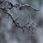 « Airs de réconciliation : de rivaux à partenaires, Wisk et Archer surprennent »