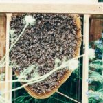 Comment Solo Stove transforme-t-elle vos soirées à l’air libre ?