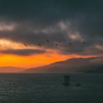 Est-ce que l’intelligence artificielle est l’avenir du travail?