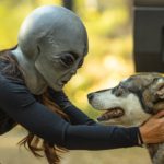 Chamet : Pourquoi Google a supprimé cette application de la Play Store ?