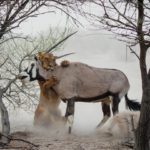 La nouvelle Xbox : le stockage, le futur de la console