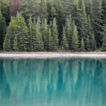 « Pitcher comme un champion : Kawasaki a-t-il toujours raison? »