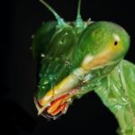 Qui sera l’étoile montante du Startup Battlefield 2023 ?