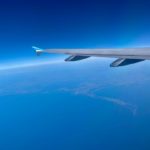 La saison du capital risque : un printemps en boutons