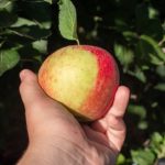 Artifact est-il en train de révolutionner la manière dont nous consommons les actualités ?