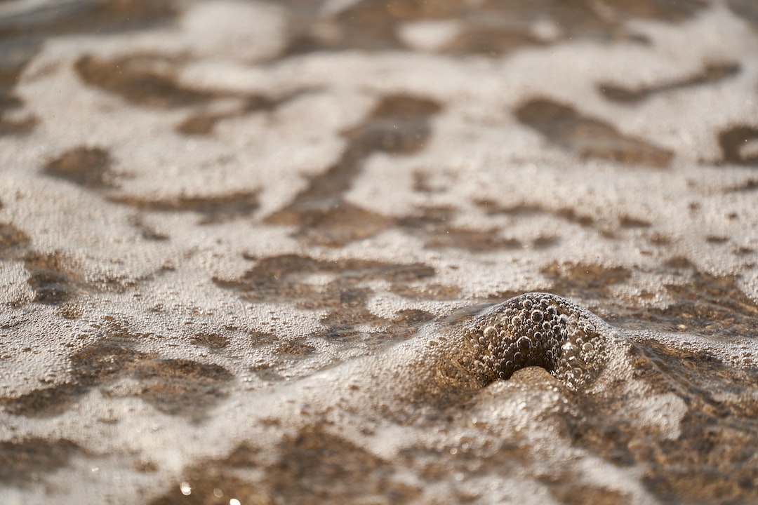 a close up of a bird's foot in the water