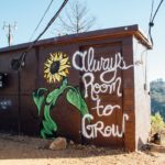 « Unity en panne de direction : de la tête dans les nuages à la tête dans le cloud »